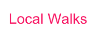 Local Walks